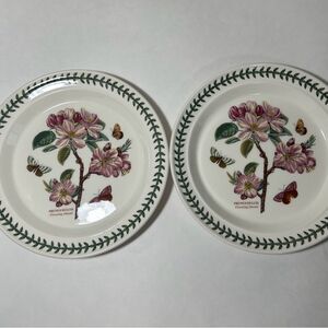 Set Of 2 Portmeirion Botanic Garden 10.5″ Dinner Plate, Flowering Almond